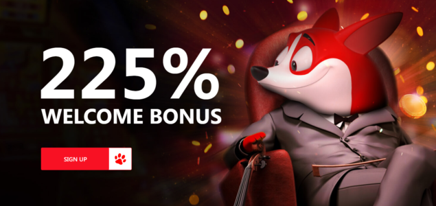 3 Best Red Dog Online Casino Review: Friendly with Big Bonus